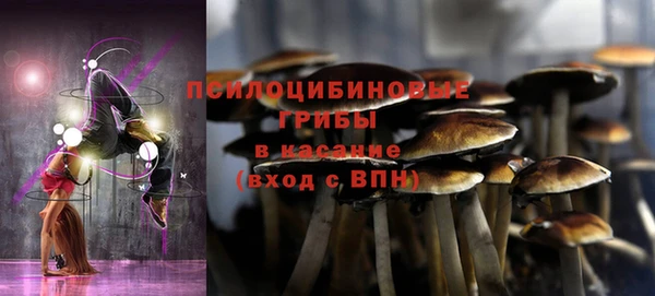 дживик Абинск