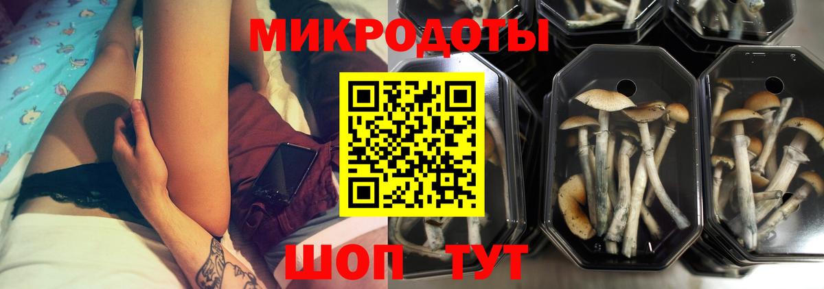 Псилоцибиновые грибы MAGIC MUSHROOMS  Вход с VPN  Галлюциногенные грибы мицелий  цена   Удомля 