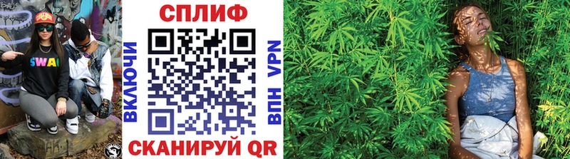Бошки Шишки MAZAR Удомля